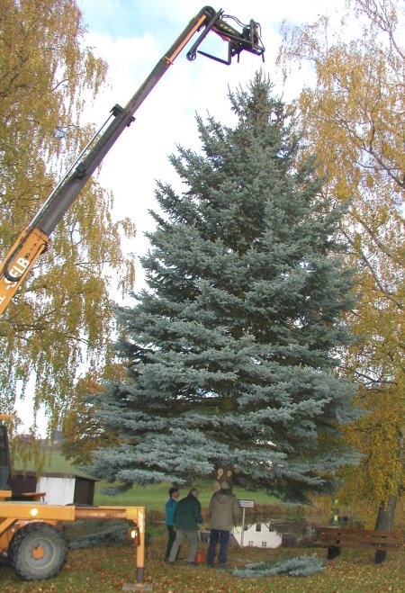 Der L&auml;ngenauer Weihnachtsbaum 2006